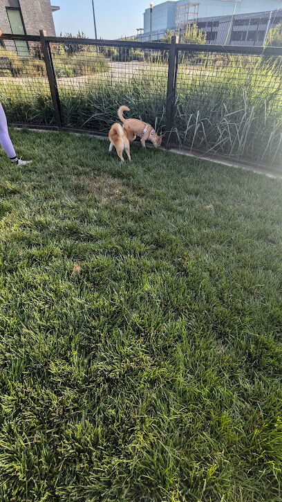 Dog park