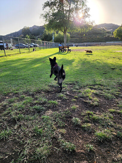 Mayflower Dog Park