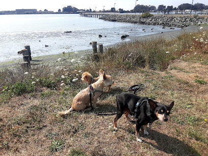 Del Norte Street Dog Park