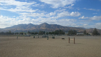 Fillmore Dog Park