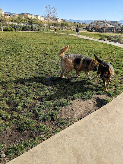 Gabion Ranch Dog Park