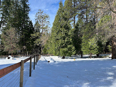 Foresthill Dog Park