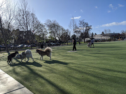 Central Park Dog Park
