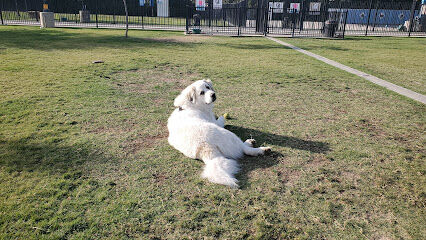 Dr. James W. Thornton Dog Park