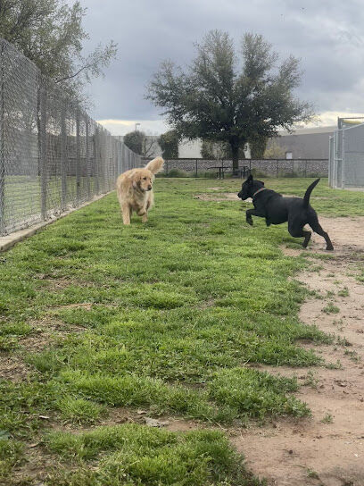 Figarden Dog Park