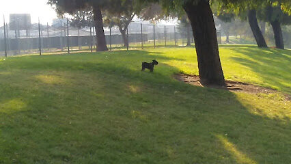 First & Bullard (O) Dog Park