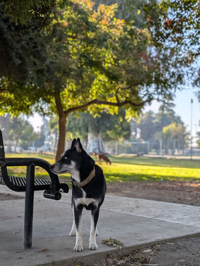 Roeding Dog Park