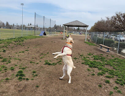 Todd Beamer Dog Park