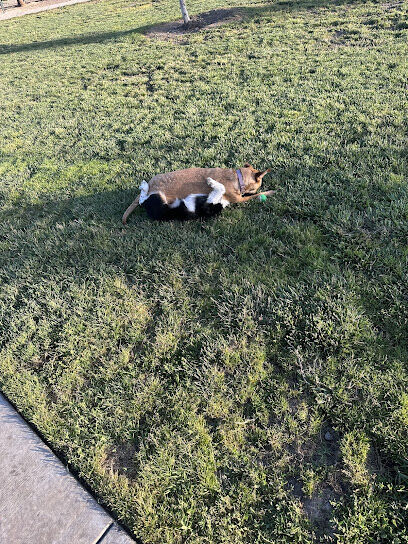 3rd Street Dog Park