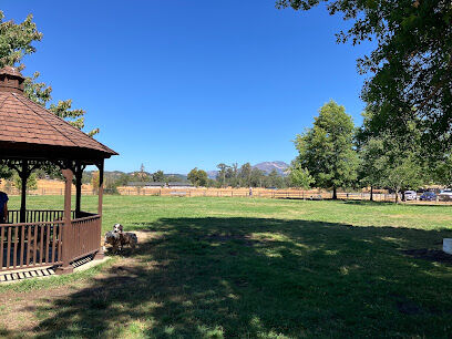 Liz Perrone Dog Park