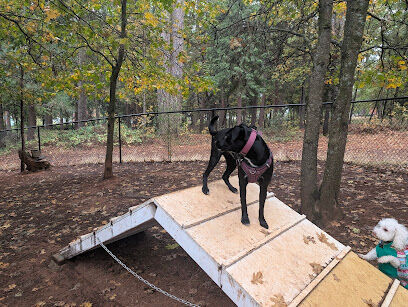 Dogs Run Free