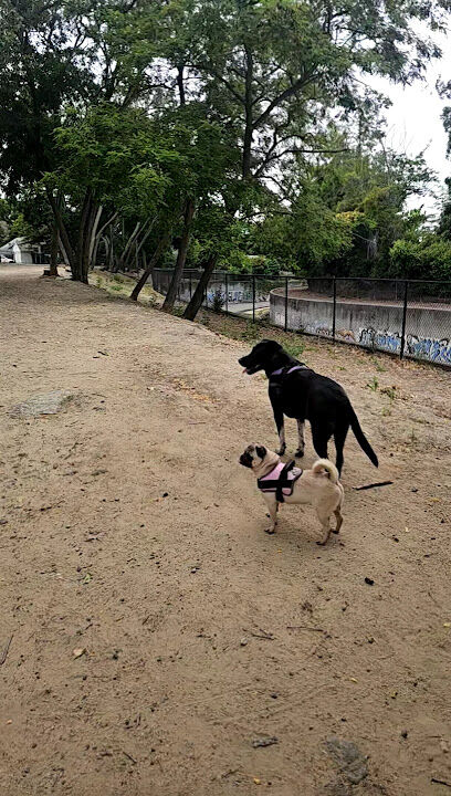 Old Creek Dog Park of Cherryland