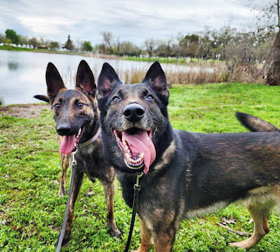 Rancho Seco Dog Park