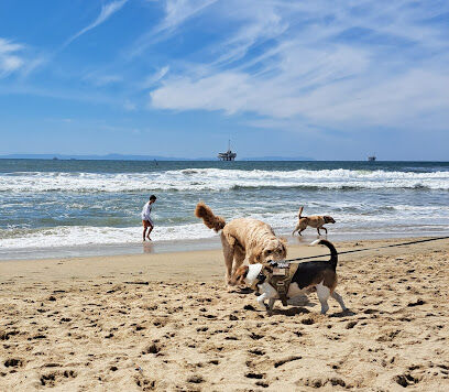 Dog Beach | Huntington Beach