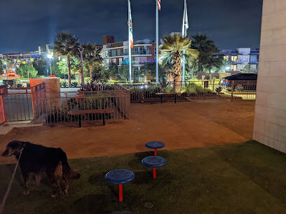 PawSea Dog Relief at Pasea Hotel