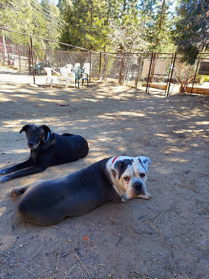 Rick Barker Dog Park
