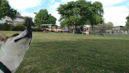 Station 87 Dog Park