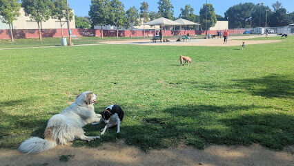 Irvine Central Bark
