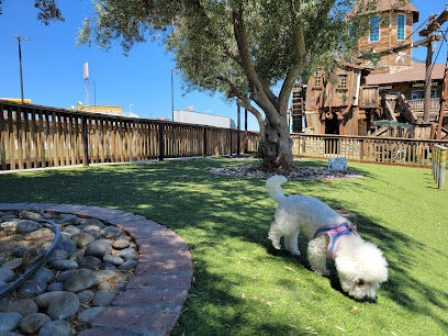 Dog Park at Bravo Land