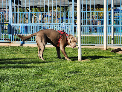 Fritz Burns Dog Park