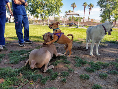 Pioneer Dog Park