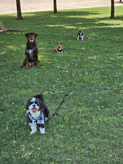 Seasons Dog Park
