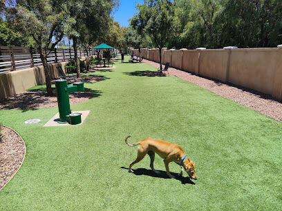 Laguna Woods Dog Park