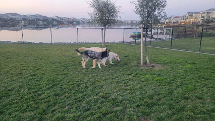 River Islands Dog Park