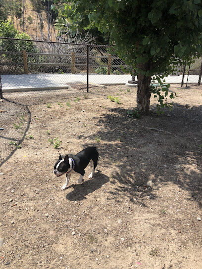 Dog Park