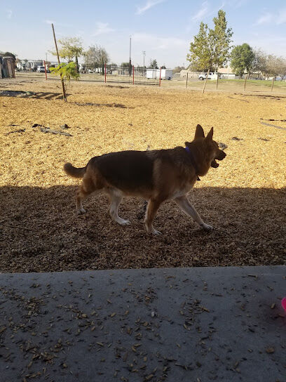 MWR Bark Park