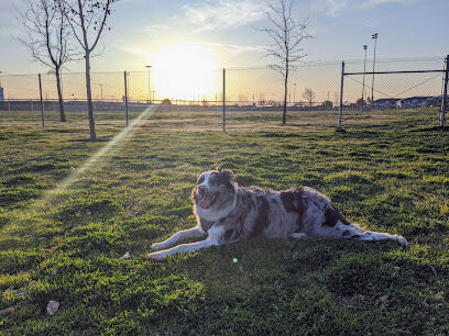 Waggin' Tails Dog Park