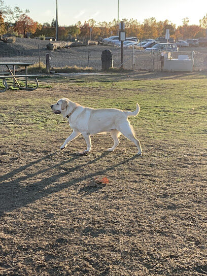 Livermore Canine Park