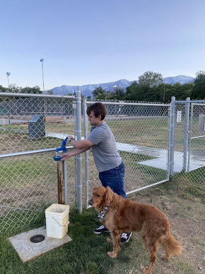 Zoey's Dog Park