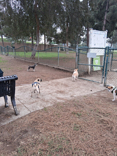 Coolidge Dog Park