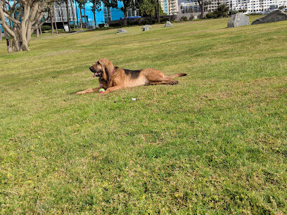 Seaside Dog Zone