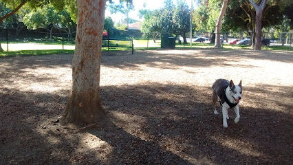 Uptown Dog Park