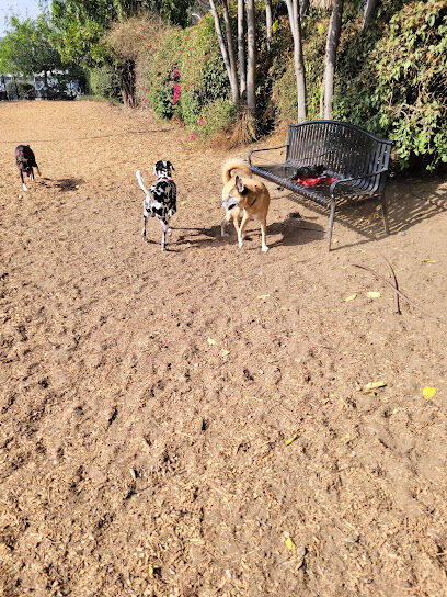 L.A. Live Large Dogs Park