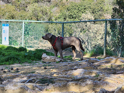 Laurel Canyon Dog Park