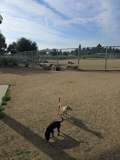 Magic Johnson dog park