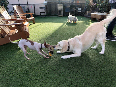 Muddy Paw Coffee & Park Eagle Rock