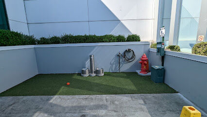 Terminal 6 Pet Relief Area