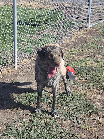 Dog Park at Love's Travel Stops