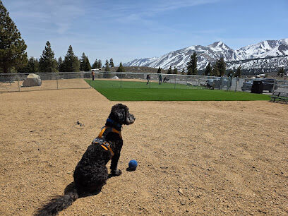 Mammoth Lakes Community Dog Park