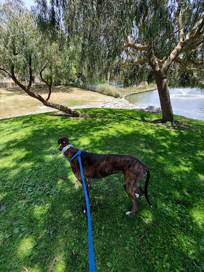 Polliwog Park Dog Park