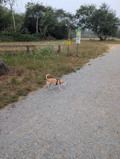 McKinleyville dog park
