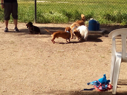 Dog Park
