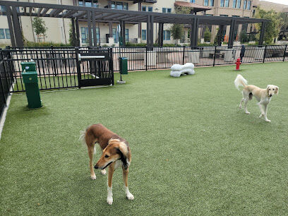 Springline - The Glade (Dog Park)
