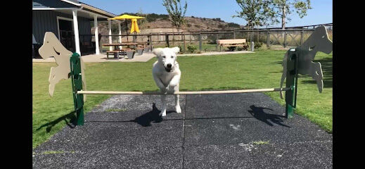 South Paw Dog Park (Private)