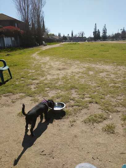 Dog Park
