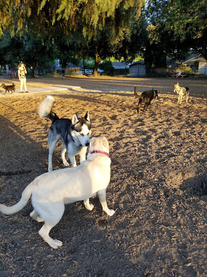 Elk Park / Modesto Dog Park